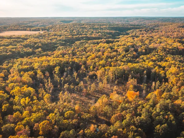 22285 Golden Springs Road, Hartshorn, MO 65479