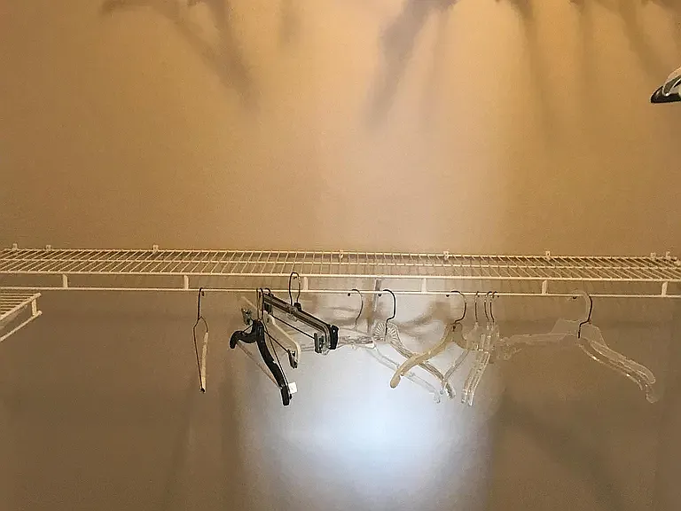 Master BR Walk in Closet