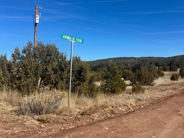 LOT 15 Sanchez Rd, Ribera, NM 87560