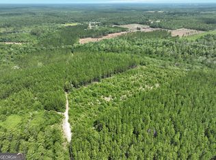 0 Brantley Rd, Jesup, GA 31546