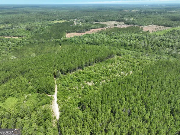 0 Brantley Rd, Jesup, GA 31546