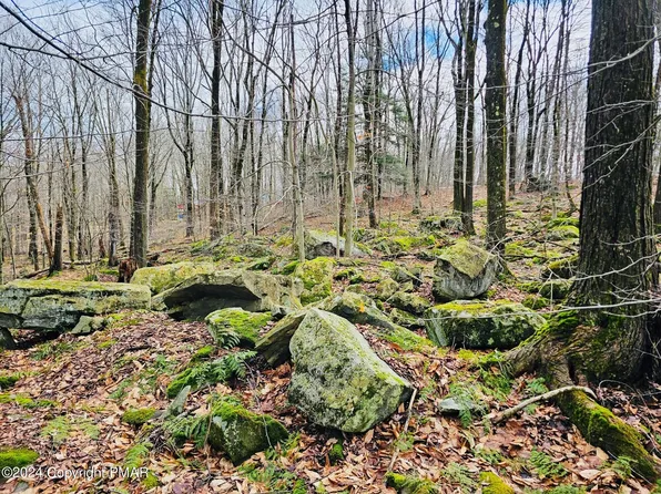LOT-23R Lakewood Dr, Canadensis, PA 18325
