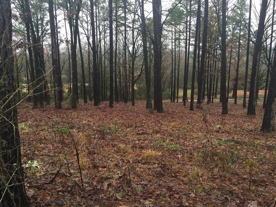 2nd image of 12920 Piney Rd