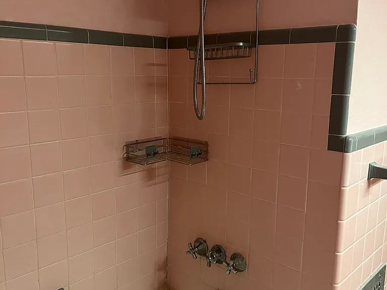 Porcelain tub with shower
Plus x tra shower in garage.