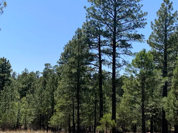 8761-8657 Mogollon Trl, Happy Jack, AZ 86024
