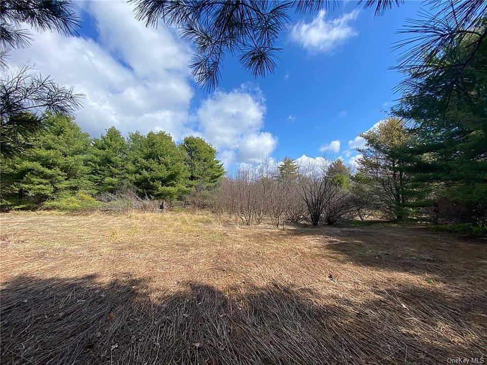 Wurtsboro Mountain Road, Rock Hill, NY 12775 Zillow