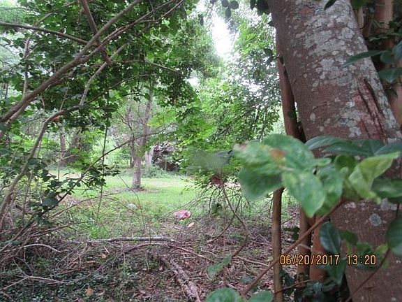 eagle brian grass hill spring 232