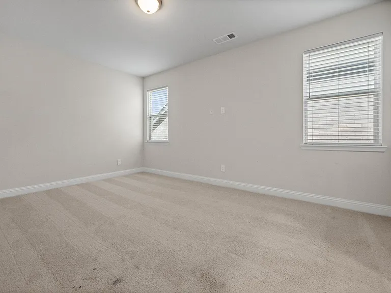 10838 Downy Cup Dr — Photo 23