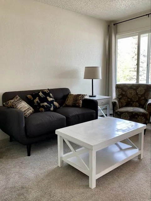 1 bed, 500 sqft, $895 — Photo 2