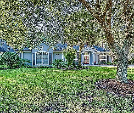 Treed front yard