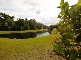 15961 Fishhawk View Dr, Lithia, FL 33547