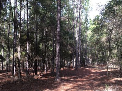 1013 SW Cumberland St, Fort White, FL, 32038