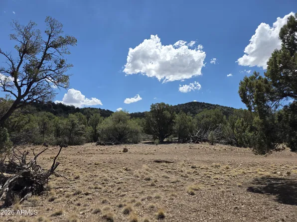 824 Seligman Yavapai County -- #-, Seligman, AZ 86337