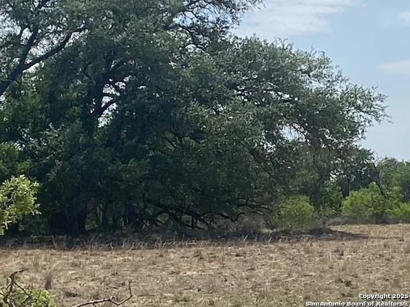 000 OLD DEVINE RD, Poteet, TX 78065