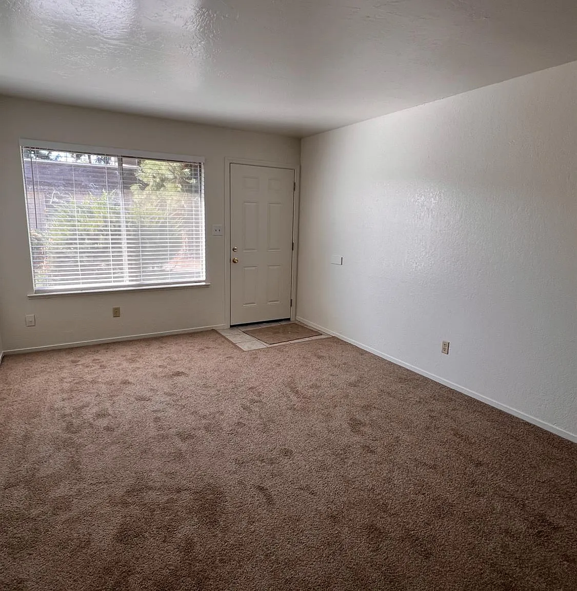 2 bed, 1060 sqft, $1,250 — Photo 4