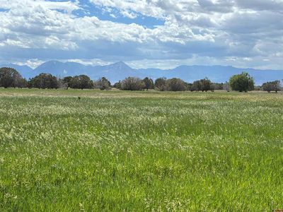 TBD Redlands Mesa Road, Hotchkiss, CO, 81419
