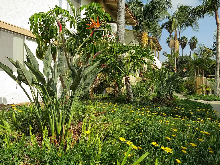 San Carlos Apartment Homes — Photo 11