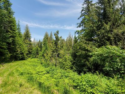 Nka Trout Pond, Athol, ID, 83801