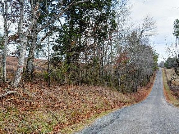 4th image of 18 Henderson Rd