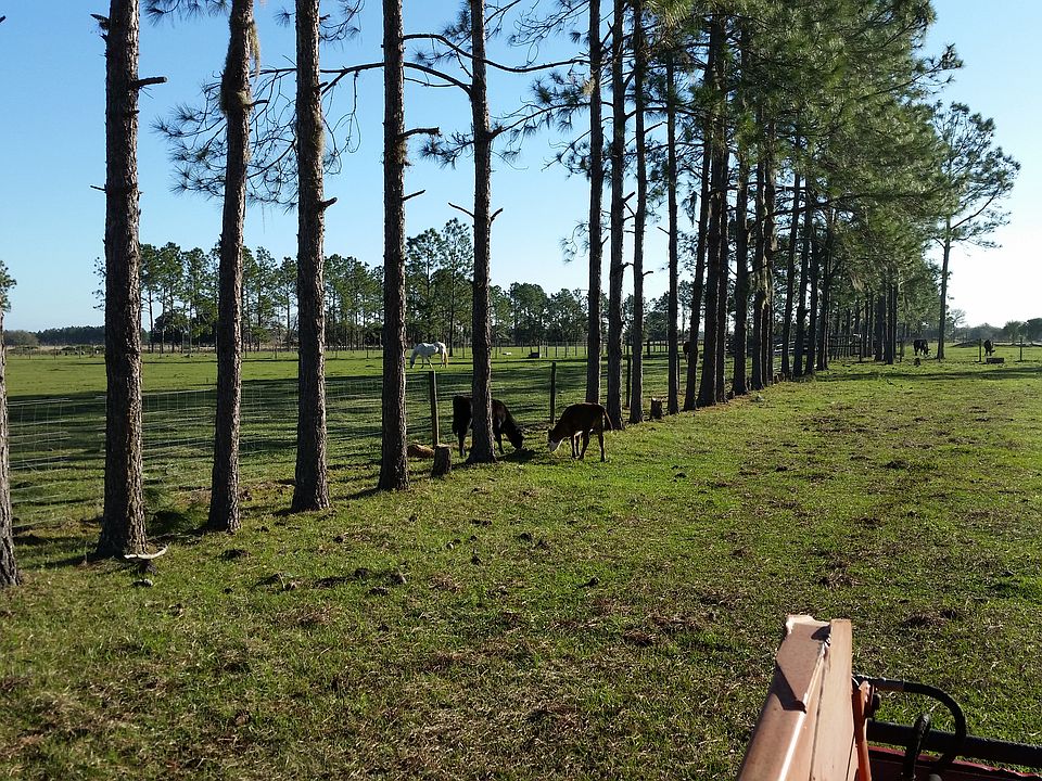 2nd image of 3373 Anderson Rd