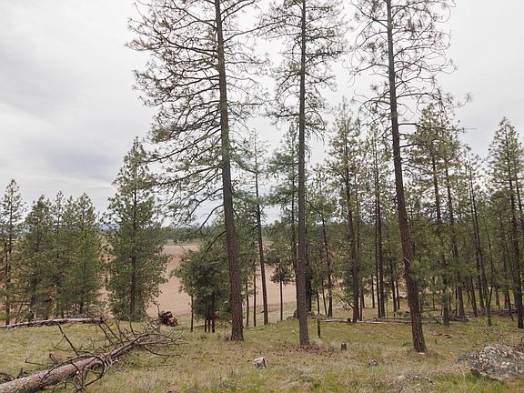 4th image of Corkscrew Canyon Rd Parcel A