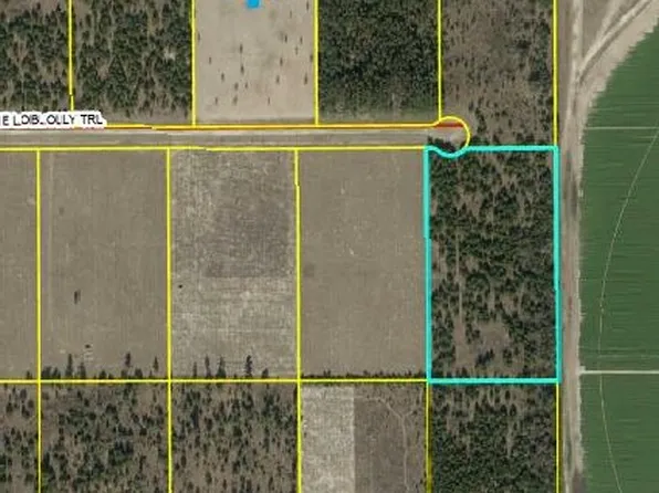 0 NE Loblolly Trl Lot 21, Lee, FL 32059