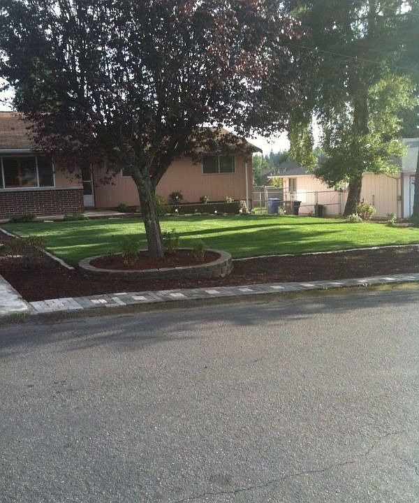 updated front yard