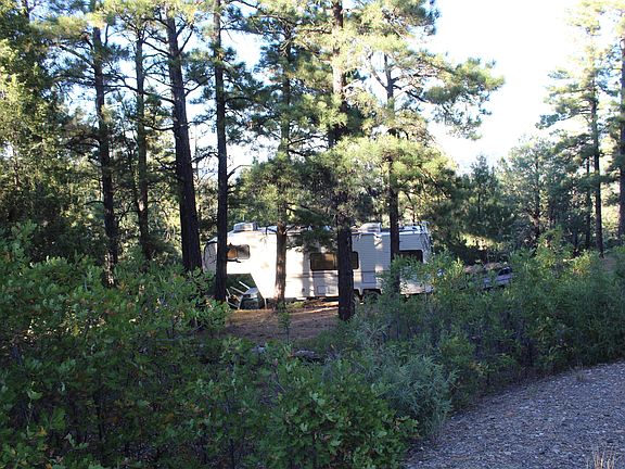2nd image of 33041 Conifer Dr