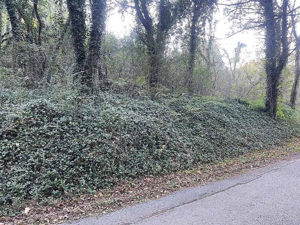 2nd image of 0 Browder Switch Rd