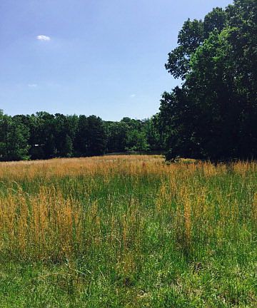 5th image of 206 County Road 431