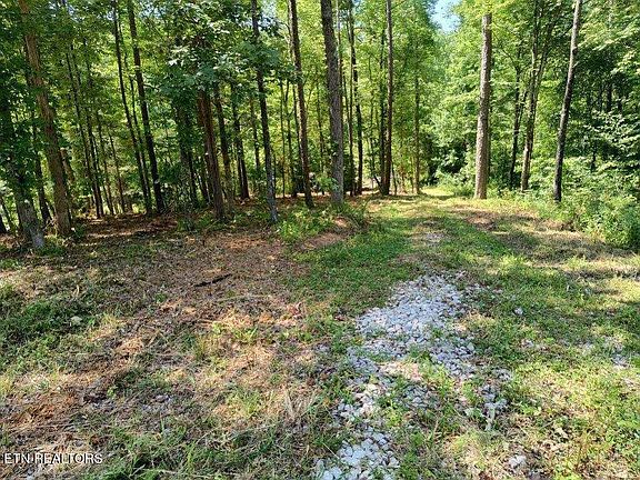 3rd image of Ashe Cabin Hollow Rd