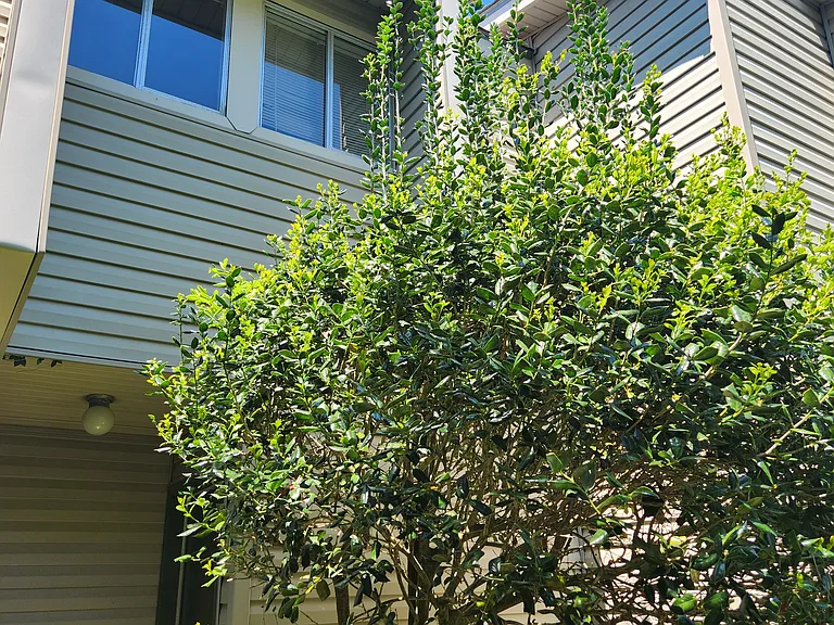 160 Sandra Del Mar Dr #160 — Photo 20