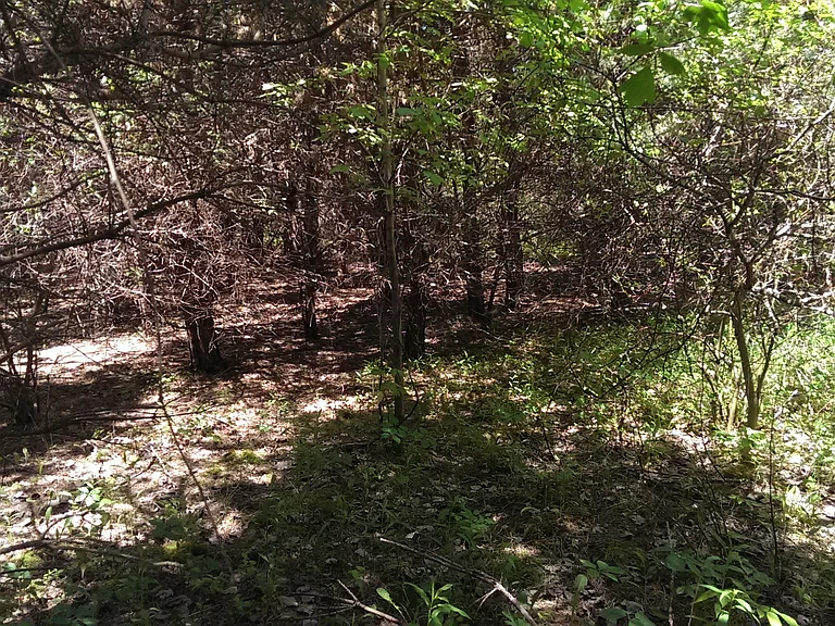 4772 Bailey Bridge Rd — Photo 22