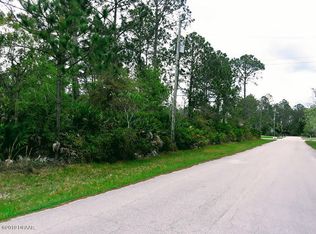 6 Slippery Rock Pl, Palm Coast, FL 32164