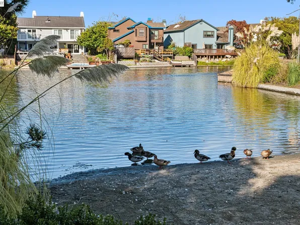 169 Diapian Bay, Alameda, CA 94502