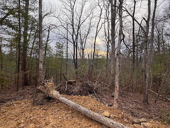 2nd image of 131 High Ridge Rd