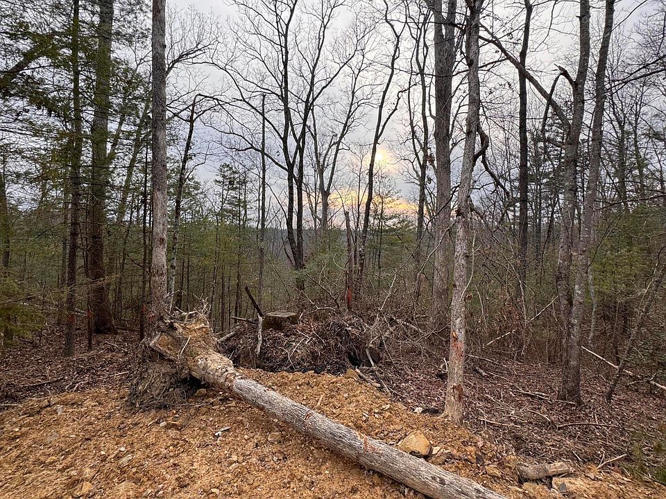 2nd image of 131 High Ridge Rd