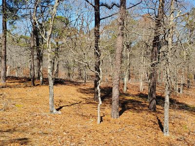 5 Bark Court, East Hampton, NY, 11937