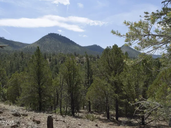 County Road 2276, Nutrioso, AZ 85932