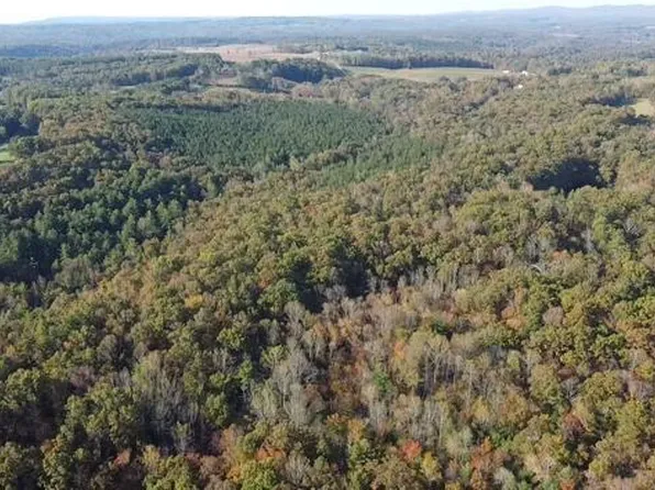 92 Dogwood Rd, Grandview, TN 37337