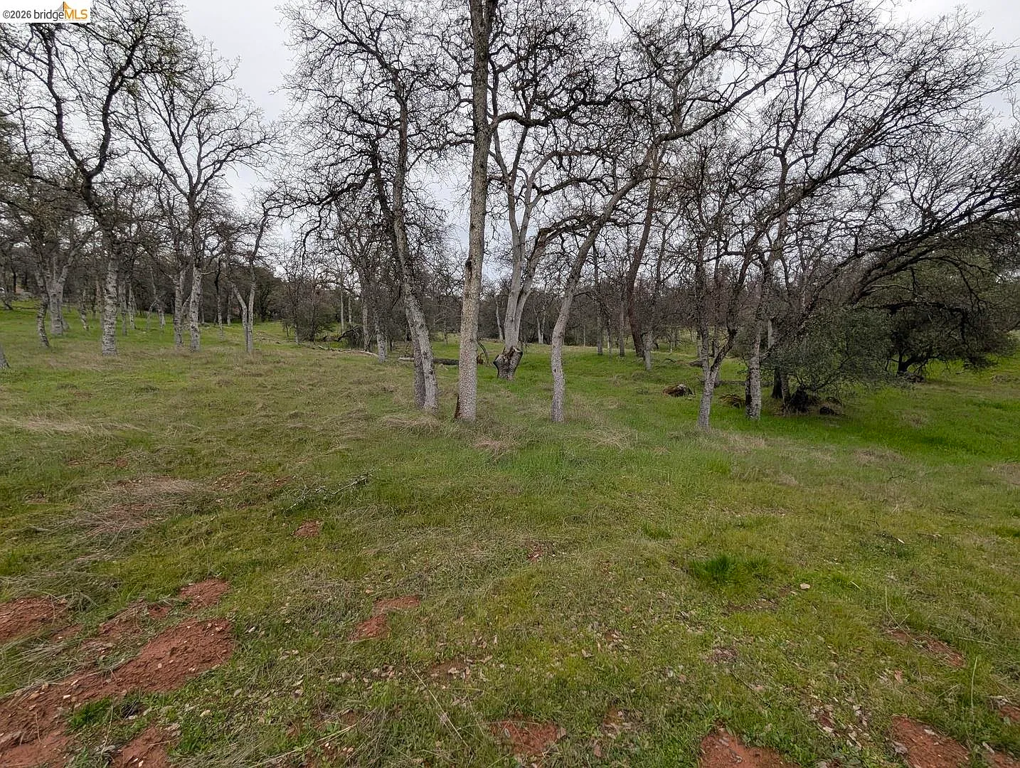 18340 Henry D Ct photo 1