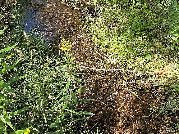 2nd image of 2044 County Road 393