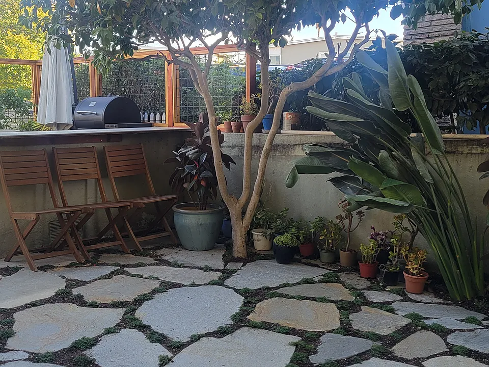 Front yard with grill
