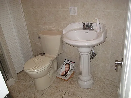 Rented by Alta Real Estate | media 37