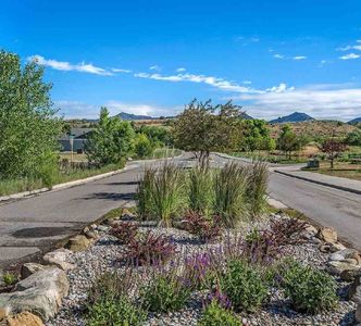 298 Grullo Ln, Silt, CO, 81652