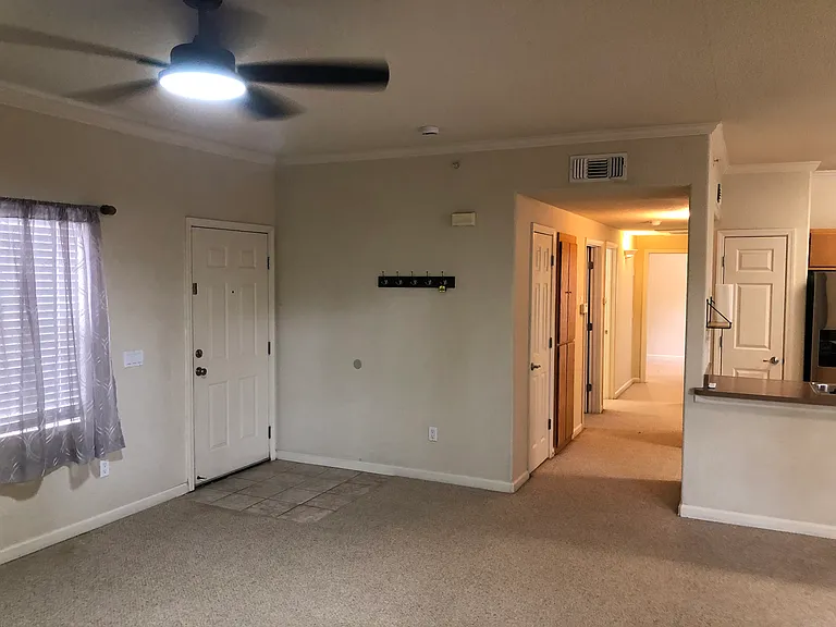 Large open concept Living room.