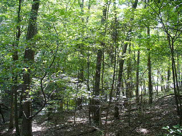 2nd image of Sweetwater Drive #269/270