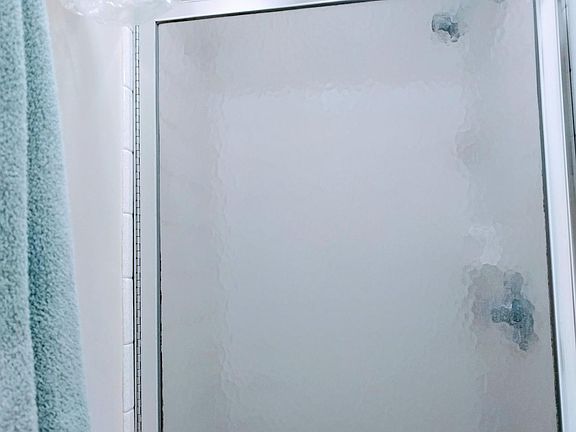 Master bathroom shower 