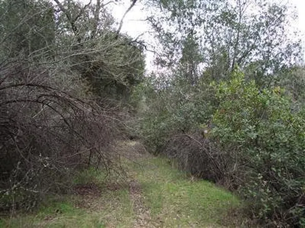 3701 Starburst Ln, Placerville, CA 95667