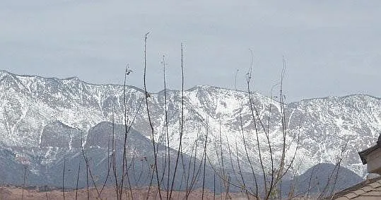 View from Backyard with snow